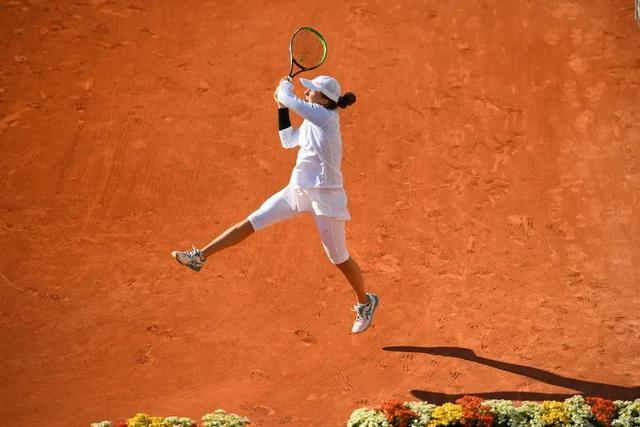 职业生涯的 职业生涯的